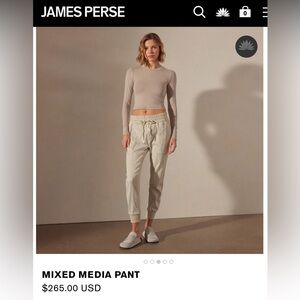 James Perse Mixed Media Pant- size 3/L Talc